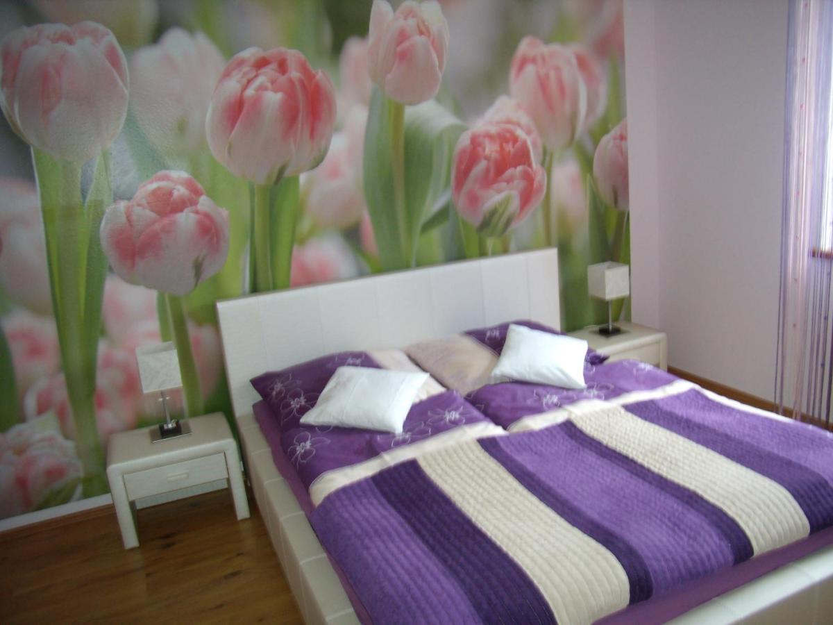 Apartament Nad Lomniczka Karpacz Exteriér fotografie